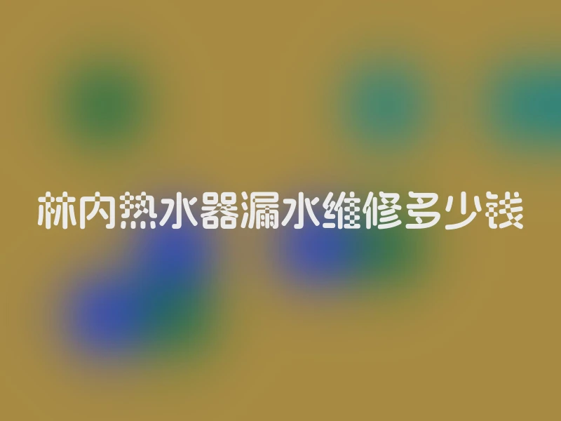 林内热水器漏水维修多少钱