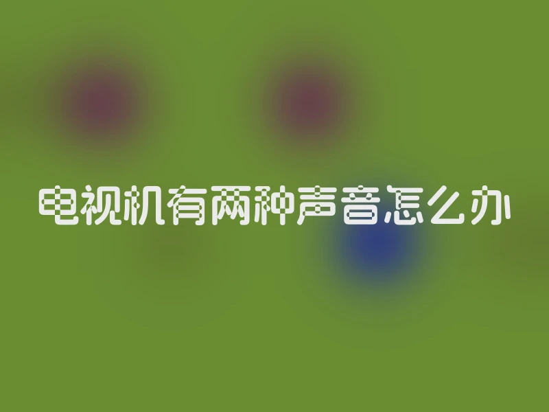 电视机有两种声音怎么办