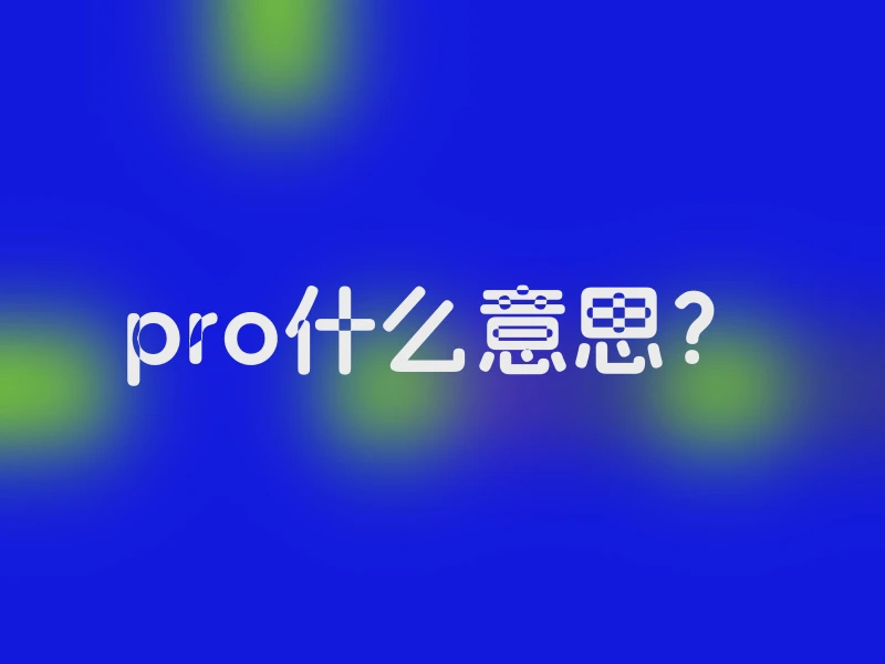 pro什么意思？