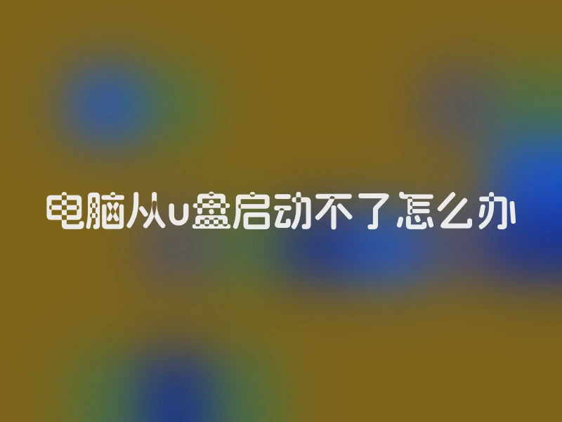 电脑从u盘启动不了怎么办