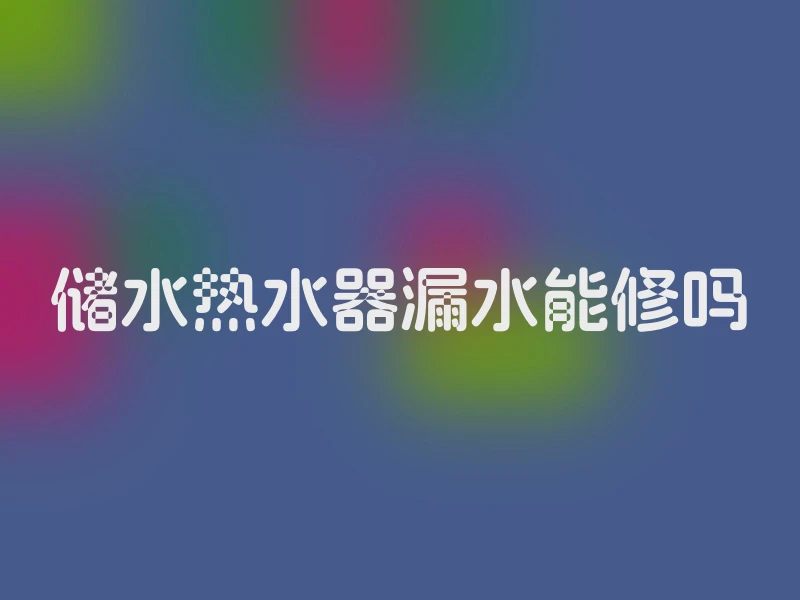 储水热水器漏水能修吗