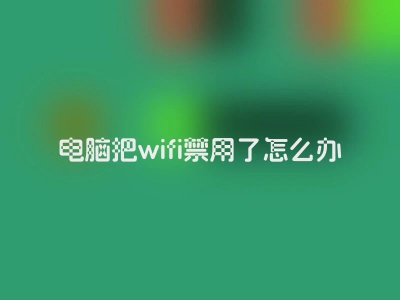 电脑把wifi禁用了怎么办