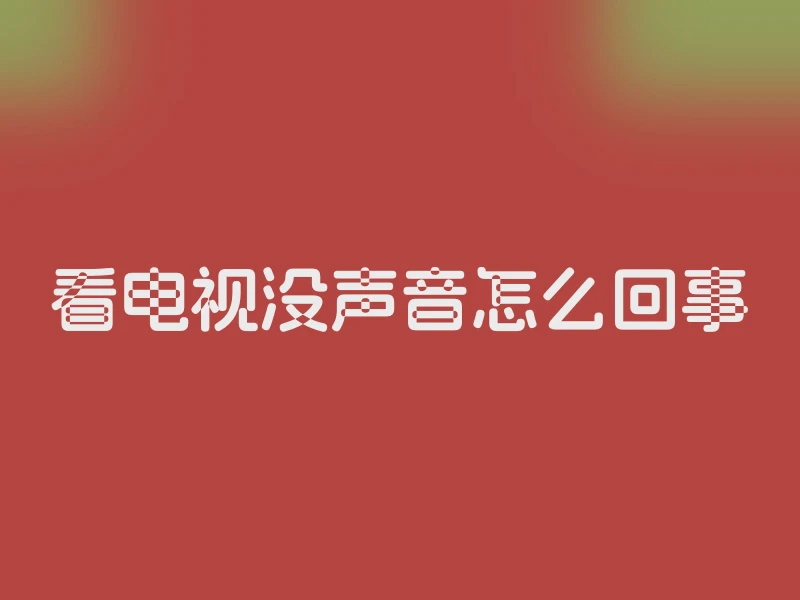 看电视没声音怎么回事