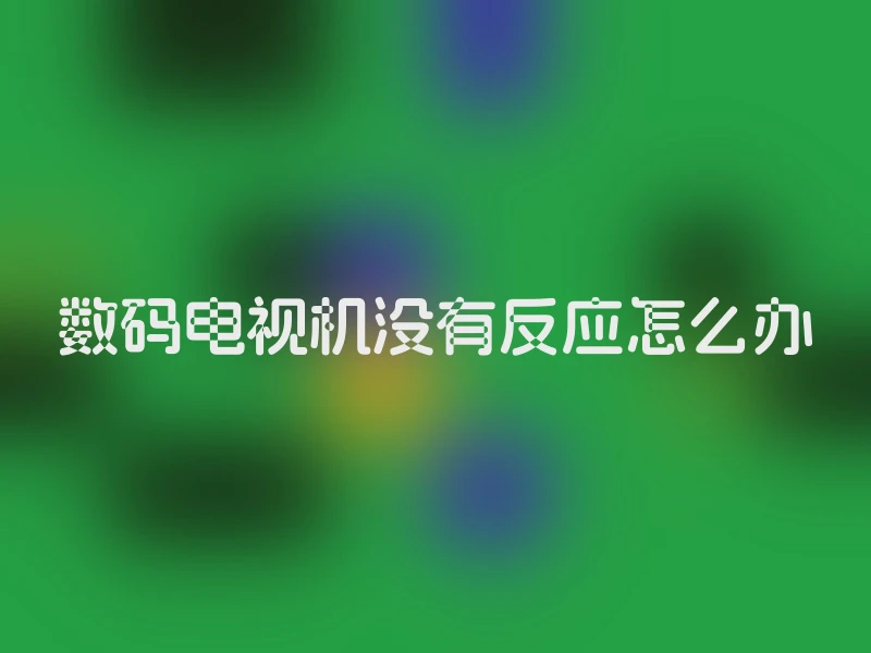 数码电视机没有反应怎么办
