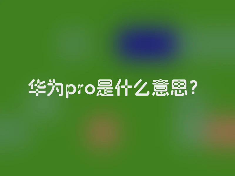 华为pro是什么意思？