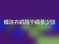 修洗衣机甩干桶多少钱