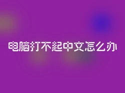 电脑打不起中文怎么办