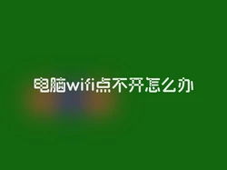 电脑wifi点不开怎么办