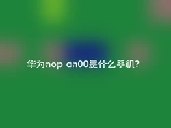 华为nop an00是什么手机？