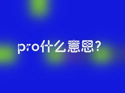 pro什么意思？
