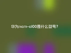 华为nam-al00是什么型号？