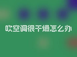 吹空调很干燥怎么办