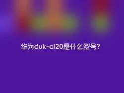华为duk-al20是什么型号？