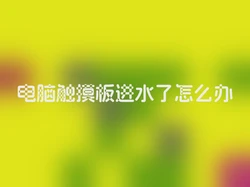 电脑触摸板进水了怎么办