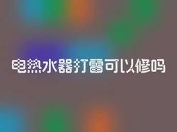 电热水器打雷可以修吗