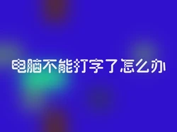 电脑不能打字了怎么办
