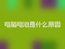 电脑电池是什么原因