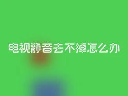 电视静音去不掉怎么办