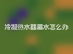 冷凝热水器漏水怎么办