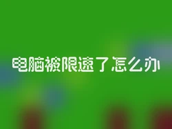 电脑被限速了怎么办