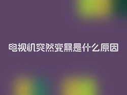 电视机突然变黑是什么原因
