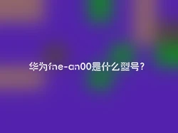 华为fne-an00是什么型号？