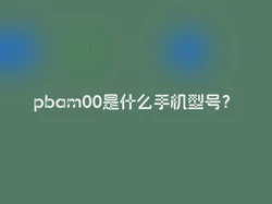 pbam00是什么手机型号？