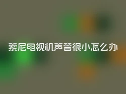 索尼电视机声音很小怎么办