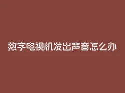 数字电视机发出声音怎么办